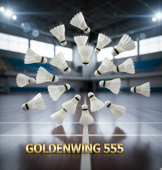 GOLDENWING GW 555